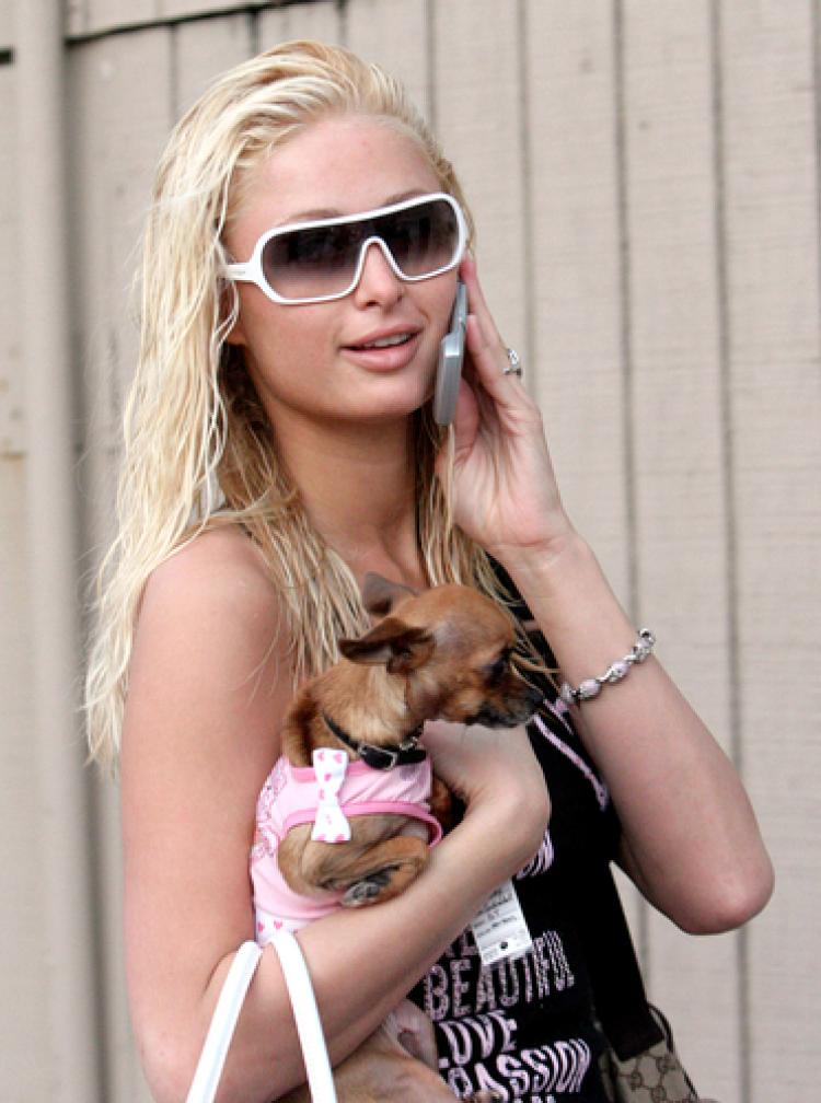 Celebrities Have The Best Pet Names Retrieve My Pet