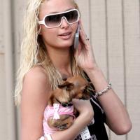 Celebrities Have the Best Pet Names