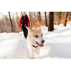 Keep Your Pets Healthy This Winter